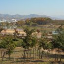 반곡저수지 이미지