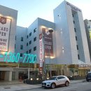 브라운도트1 이미지