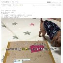 요기당 이미지