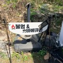 멍때리 41 이미지