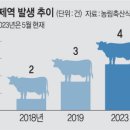 대성씨푸드 이미지