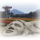 임자 화산단 Daum카페