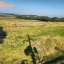 강화읍-3 이미지