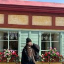 노을숲제주 | 제주 5일차 조천 구좌 가볼 만한 곳 강아지 동반 샤이니숲길 제주동화마을 소품샵 꿀팁