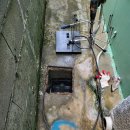 덕하식당 이미지