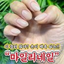 마일리네일