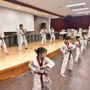 용인대 최강 태권도 도장 이미지