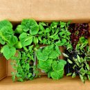 둔내주유소 이미지