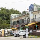 강원도 양양 서핑강습 조아서프 후기 죽도해변 게하 양양여행