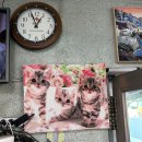 해인이네 | 해인칼국수 | 서산 해미 맛집 , 해미읍성 칼국수 잘 하는 또간집 후기