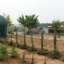 향남농장 이미지