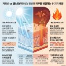 오휘다이어트 | [올영세일 추천템] 올리브영 선크림 추천 제품과 요철 없는 하이라이터 오휘선파우더 꿀조합