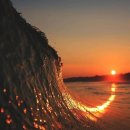 Good Forest 이미지