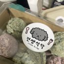 견생식탁 이미지