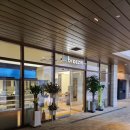 브리즘 퍼블릭 가산점 | 브리즘 breezm 퍼블릭가산점 맞춤안경 예약 가격 후기