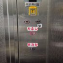 곰달래 스파사우나(구 조약돌사우나) | 곰달래 스파[화곡동] 구) 조약돌 불가마 방문 리뷰