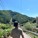 강원특별자치도 정선군청 소회의실 | [강원도 정선] 민둥산 최단코스(돌리네쉼터) 및 주차정보 정리! (feat. 거북이쉼터, 850전망대, 돌리네...