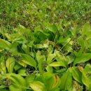 한진2농장 이미지