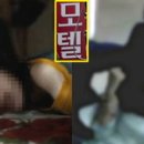 가자무인텔 이미지