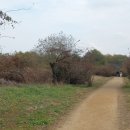 수달생태공원 화장실 이미지