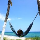 엑스포점주유소 이미지