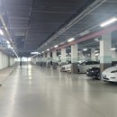 라카이샌드파인 이미지