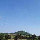 애월다래네 이미지