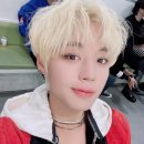 GOTCHA! 갓챠! 이미지