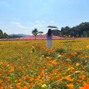 신소양체육공원 이미지