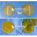 소중한유여성외과의원 이미지