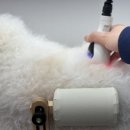 위런한방재활동물병원 이미지