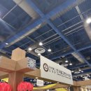 예림이 보쌈 | 2026 서울국제불교박람회 첫째날 관람후기 | 바반투 🪷, 코엑스 근처 맛집 카페 추천