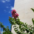 여수엔 호스텔 이미지