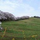 놀부목장 이미지