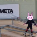 메타스케이트보드