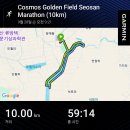신신교통(주) | 25 서산 코스모스 마라톤 후기(우중 러닝, 가민 예상과 비교)