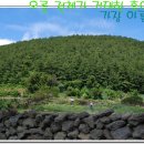 저지오름 이미지