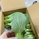 지해농장 이미지