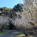 걸매생태공원 이미지