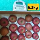 볼빨간 농원 이미지