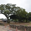 성읍리-6 이미지