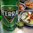 상록수(Evergreen) 이미지