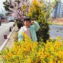 신촌정자경로당 이미지