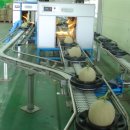 탑플러스유통 이미지