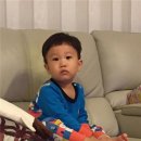 장윤정 카카오 검색결과