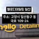 헬로디테일링