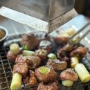 [김해] 찐 현지인 맛집 ‘갈매기 대도’ 대도카세 후기