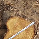 은평-078 이미지