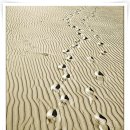 인생여행 이미지