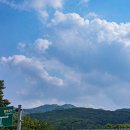 이팝나무길 이미지